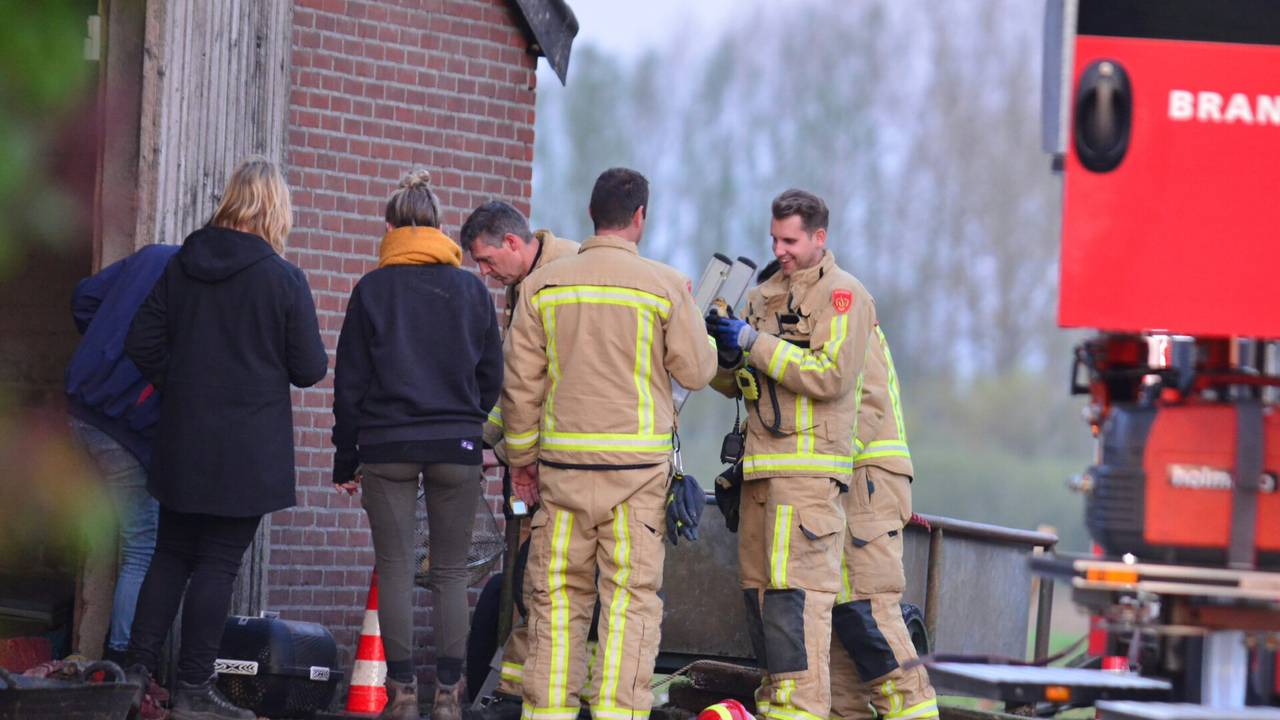Foto: Johan Bloemers / SQ Vision