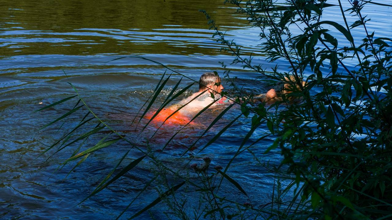Een omstander redde de hond uit het water (foto: Dave Hendriks/SQ Vision).