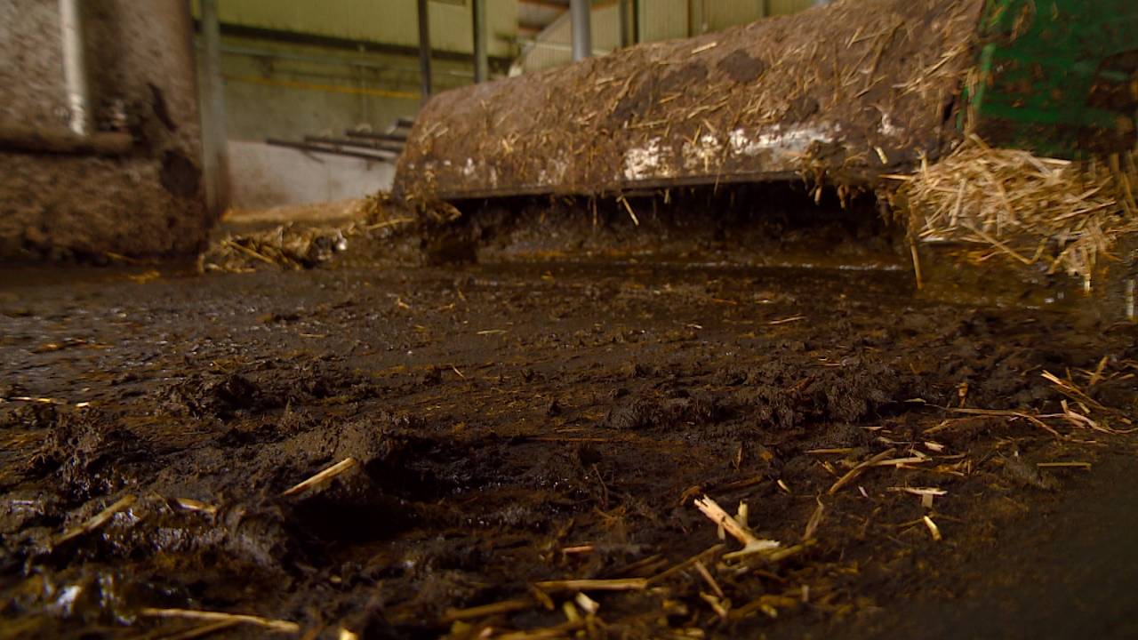 Mestfraude is lastig vast te stellen (foto: archief).