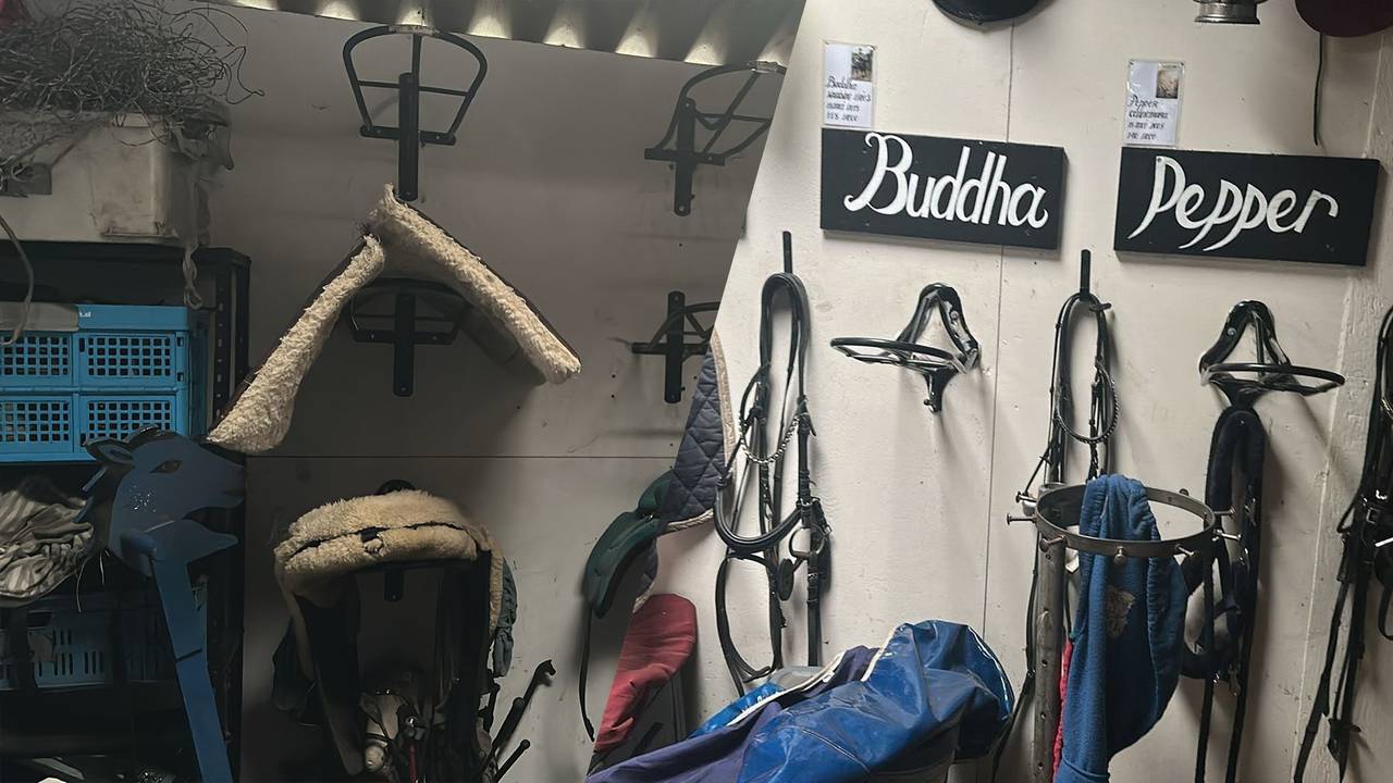 Gestolen zadels bij Dianne's ponyranch