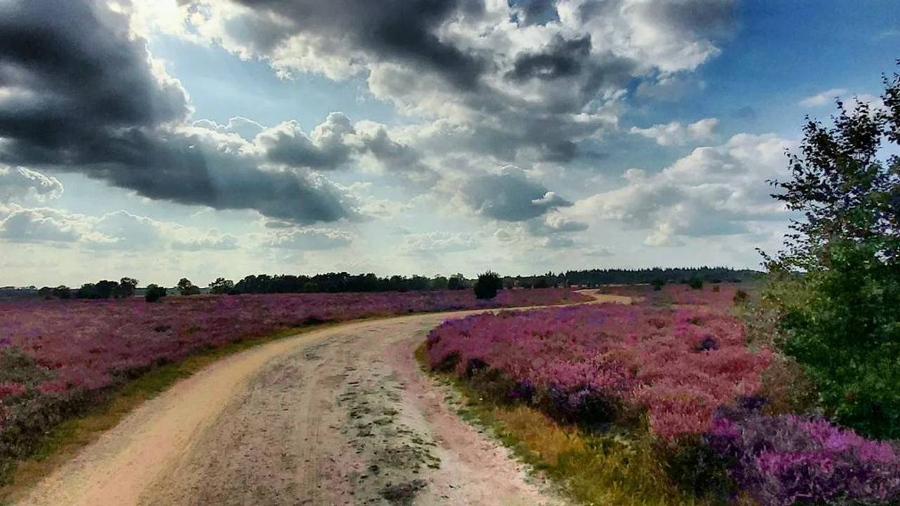 Foto: @gridjemachiels/Instagram