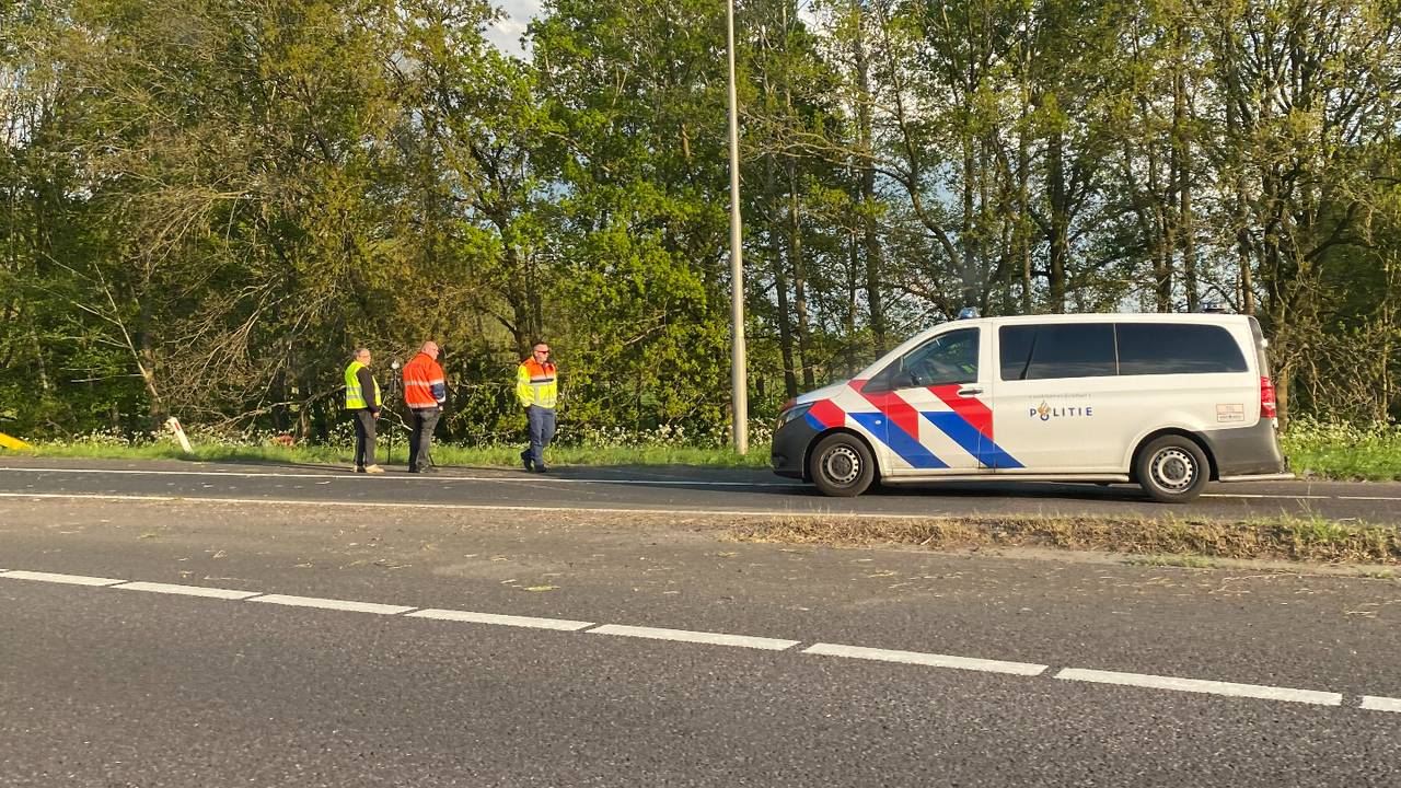 Foto: Lily Penningnieuwland. 