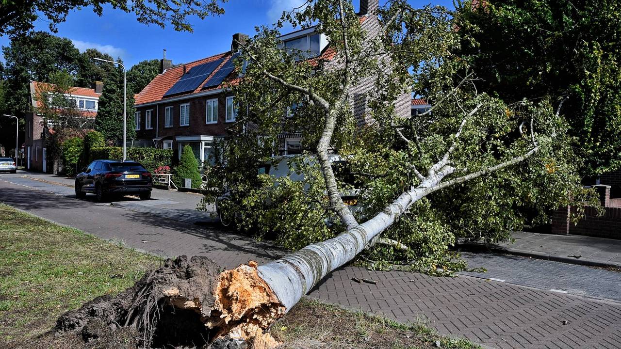 Een bestelbusje raakte beschadigd in de Arendlaan (foto: Persbureau Heitink).