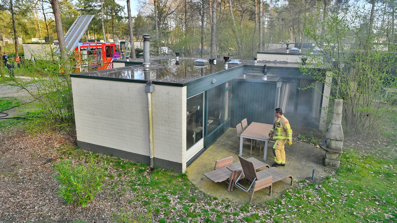 Foto: Rico Vogels / SQ Vision 