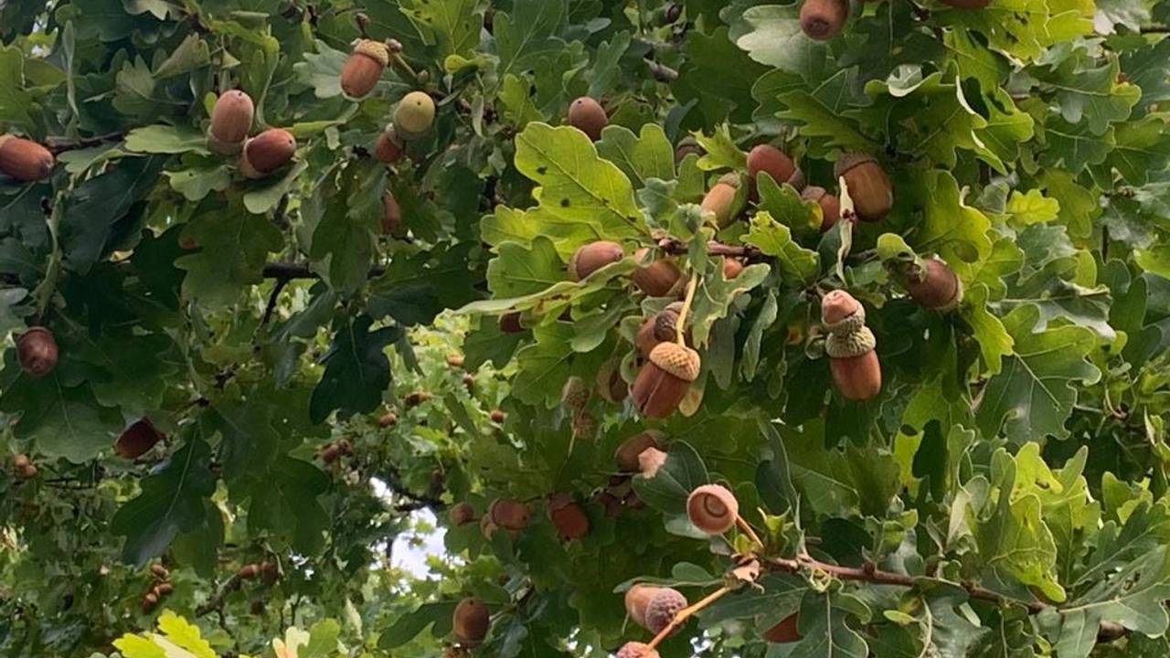 Foto: Martha Kivits.