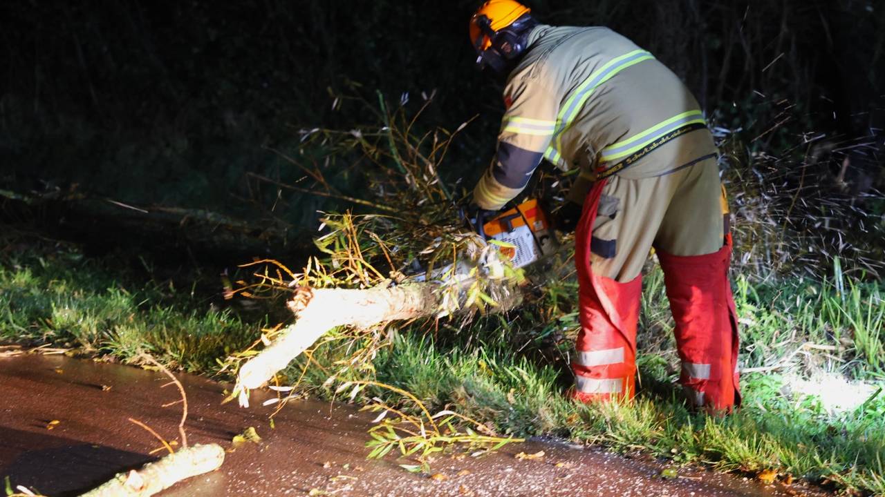 Foto: Sander van Gils/SQ Vision