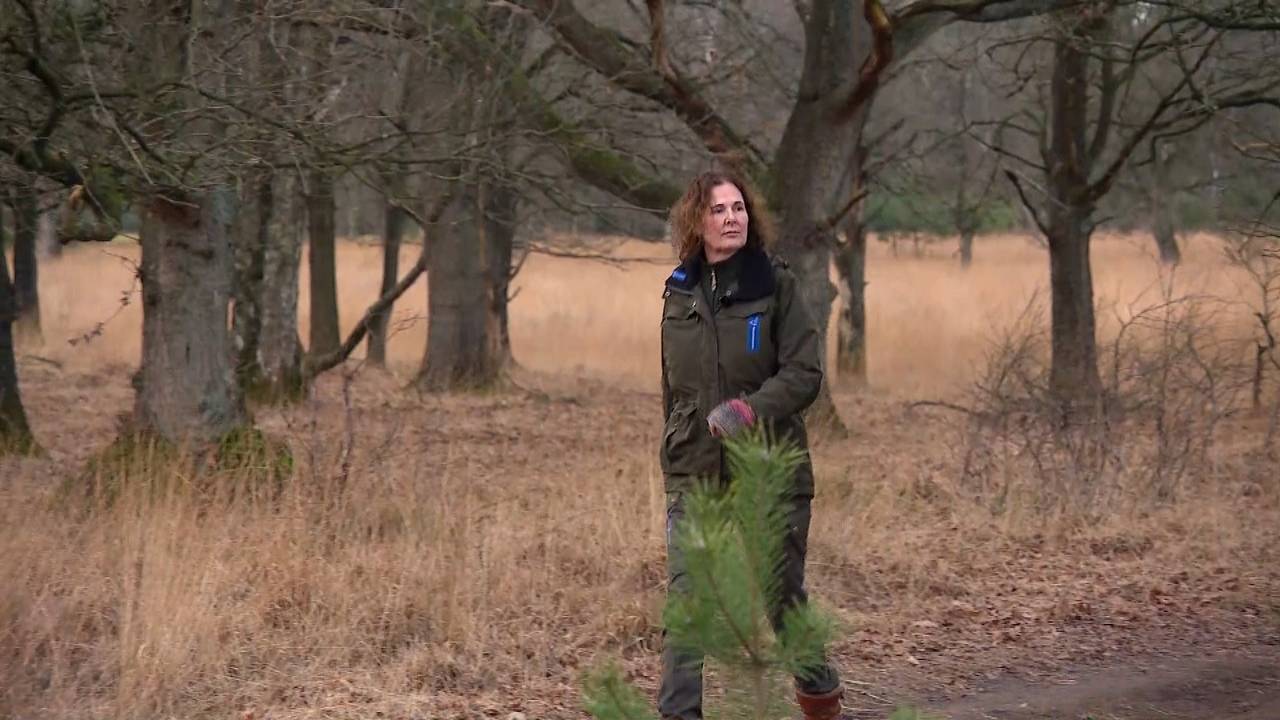 Boswachter Irma de Potter (foto: Omroep Brabant).