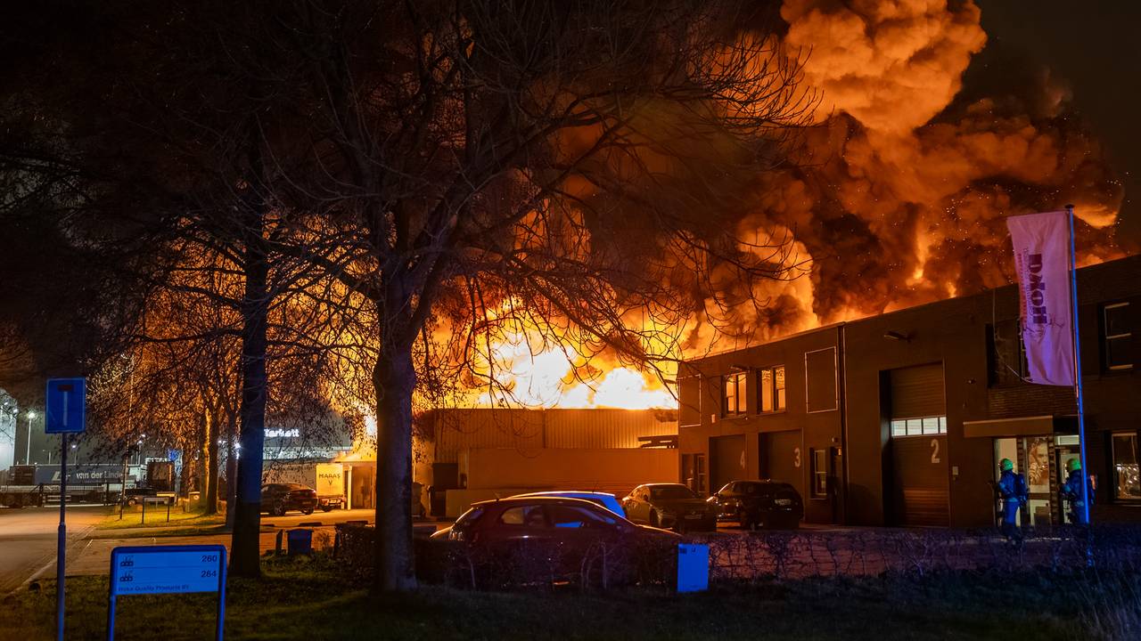 Foto: Iwan van Dun/SQ Vision