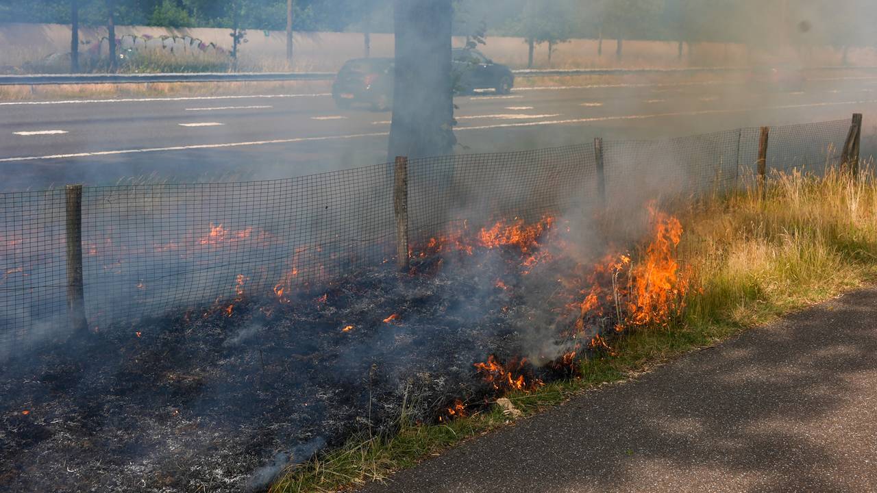 Foto: Gabor Heeres/SQ Vision