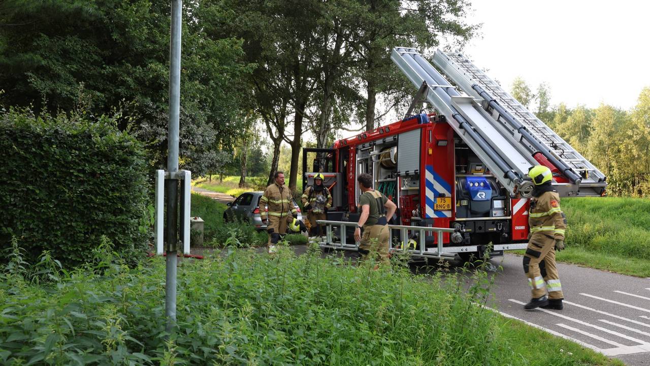 Foto: Sander van Gils / SQ Vision 