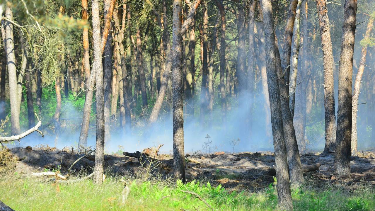 Foto: Johan Bloemers/SQ Vision Mediaprodukties