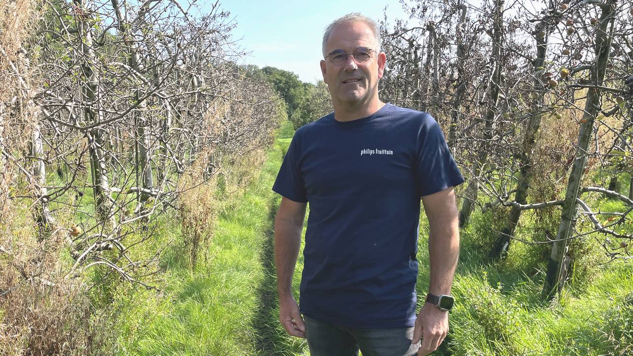 Carlos Faes van de Philips Fruittuin bij de getroffen bmen (foto: Rogier van Son).