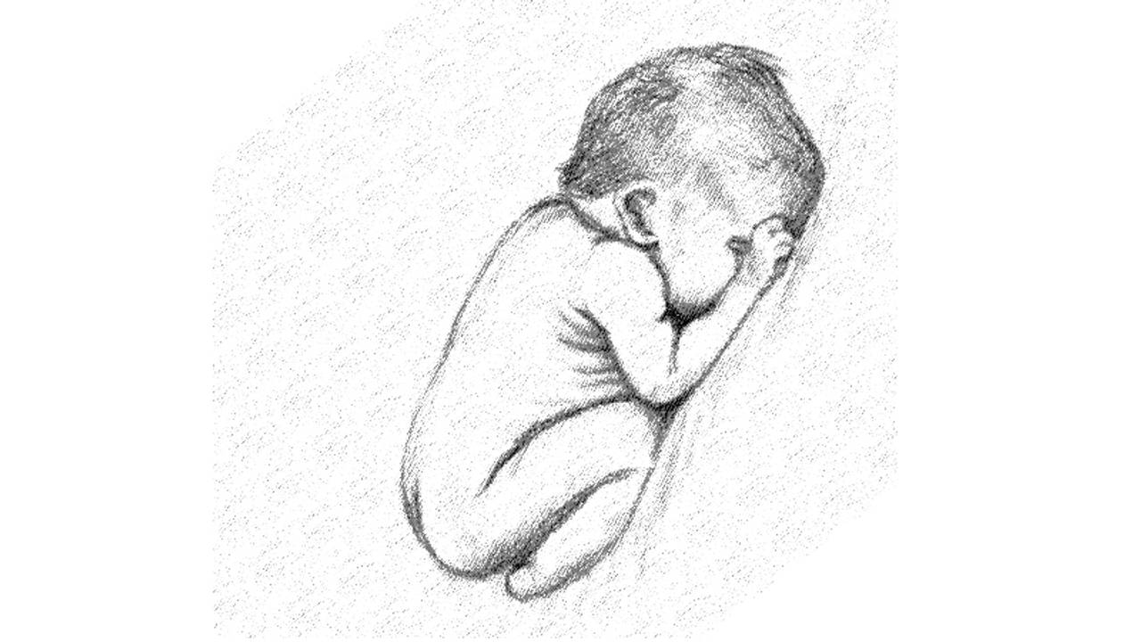 Het gevonden meisje krijgt de naam Amy.