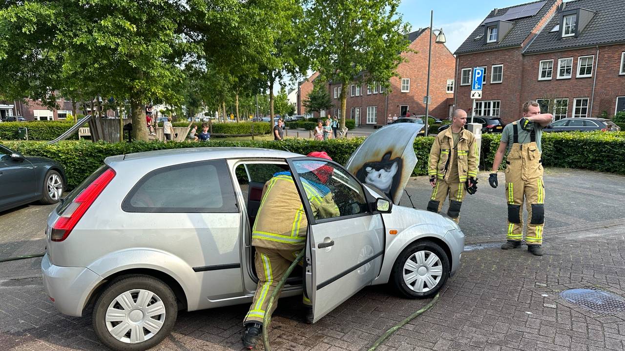 Foto: Sander van Gils/SQ Vision.