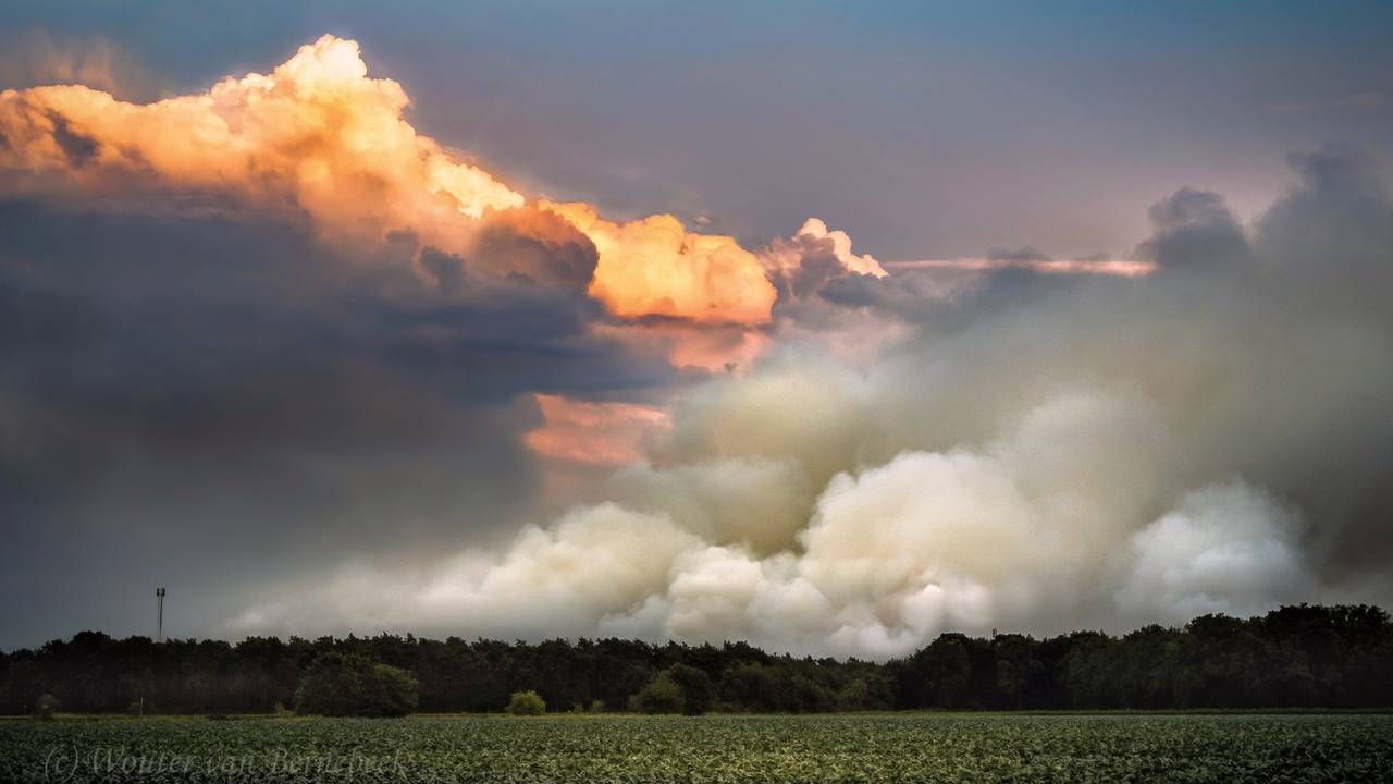 Een rookpluim op de plek van de brand gisteravond (foto: Wouter van Bernebeek).