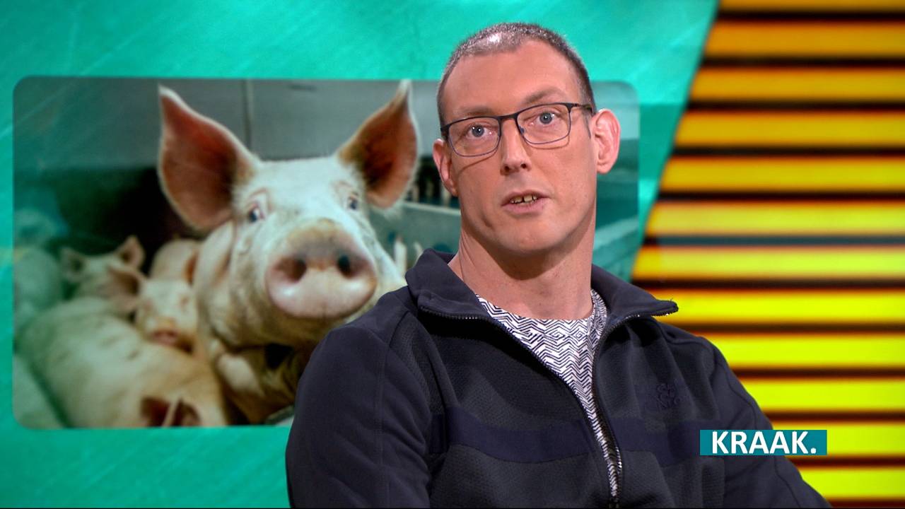 Varkensboer Bart gooit het roer om en begint een dierenuitvaartcentrum