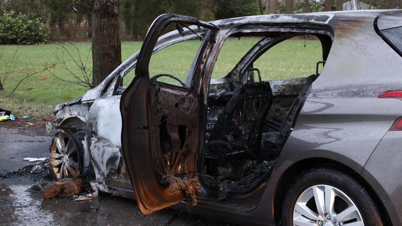 Foto: Sander van Gils/SQ Vision Mediaprodukties