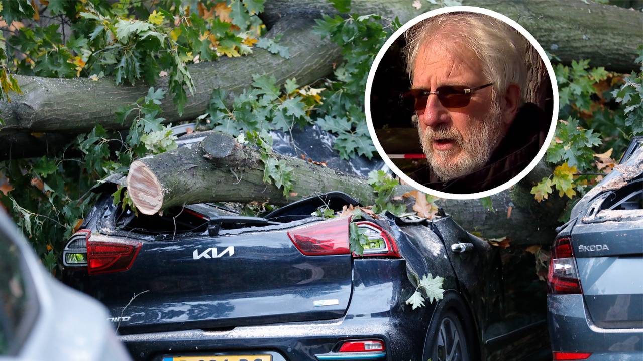 De auto van Ton Snorrewind werd bedolven onder de boom.