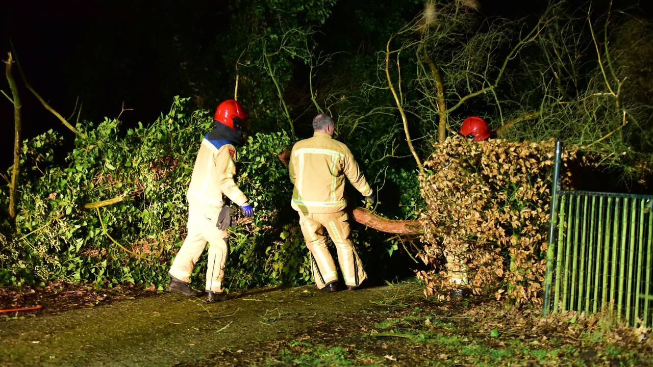 De omgevallen boom in Maarheeze moest door de brandweer in stukken worden gezaagd (foto: Johan Bloemers/SQ Vision).