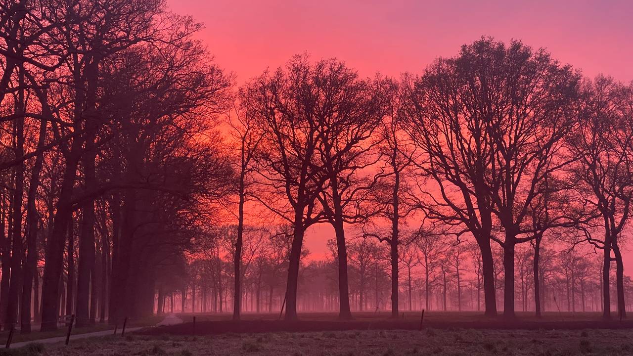 Sahara sand sets the sky above Brabant on fire