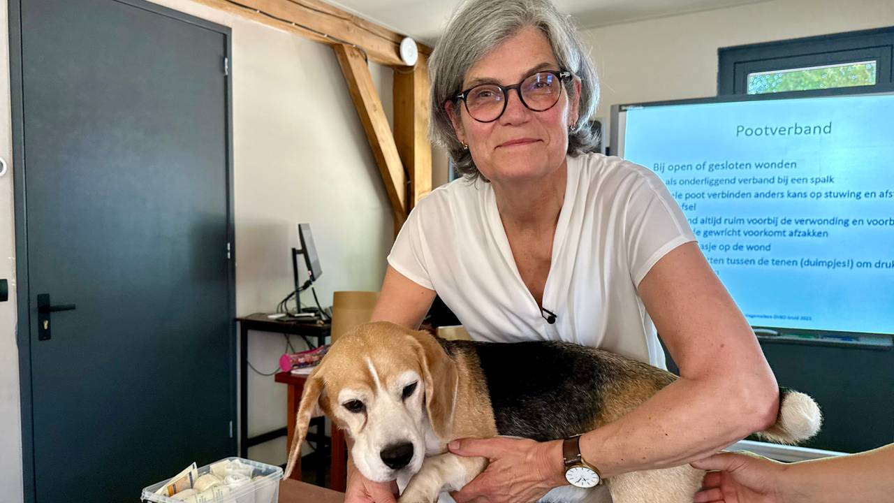 Dierenarts Dian Wagemakers met beagle Cooper (foto: Erik Peeters).