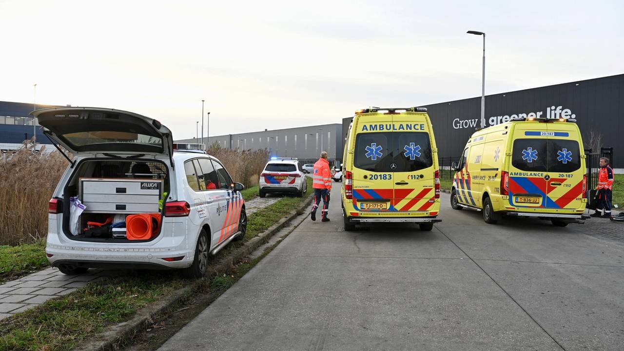 Foto: Toby de Kort / SQ Vision