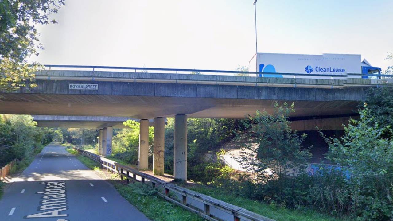 Viaduct Royaaldreef bij de A58 bij knooppunt Annabosch (foto: Google Maps).