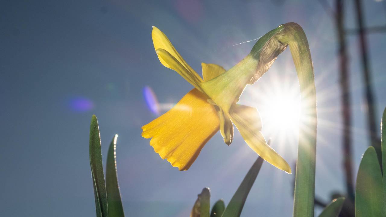 Archieffoto: Ab Donker.