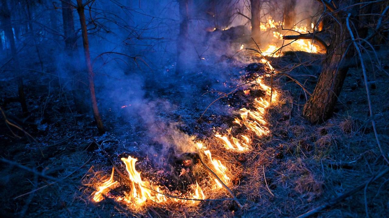 Foto: Toby de Kort/SQ Vision.