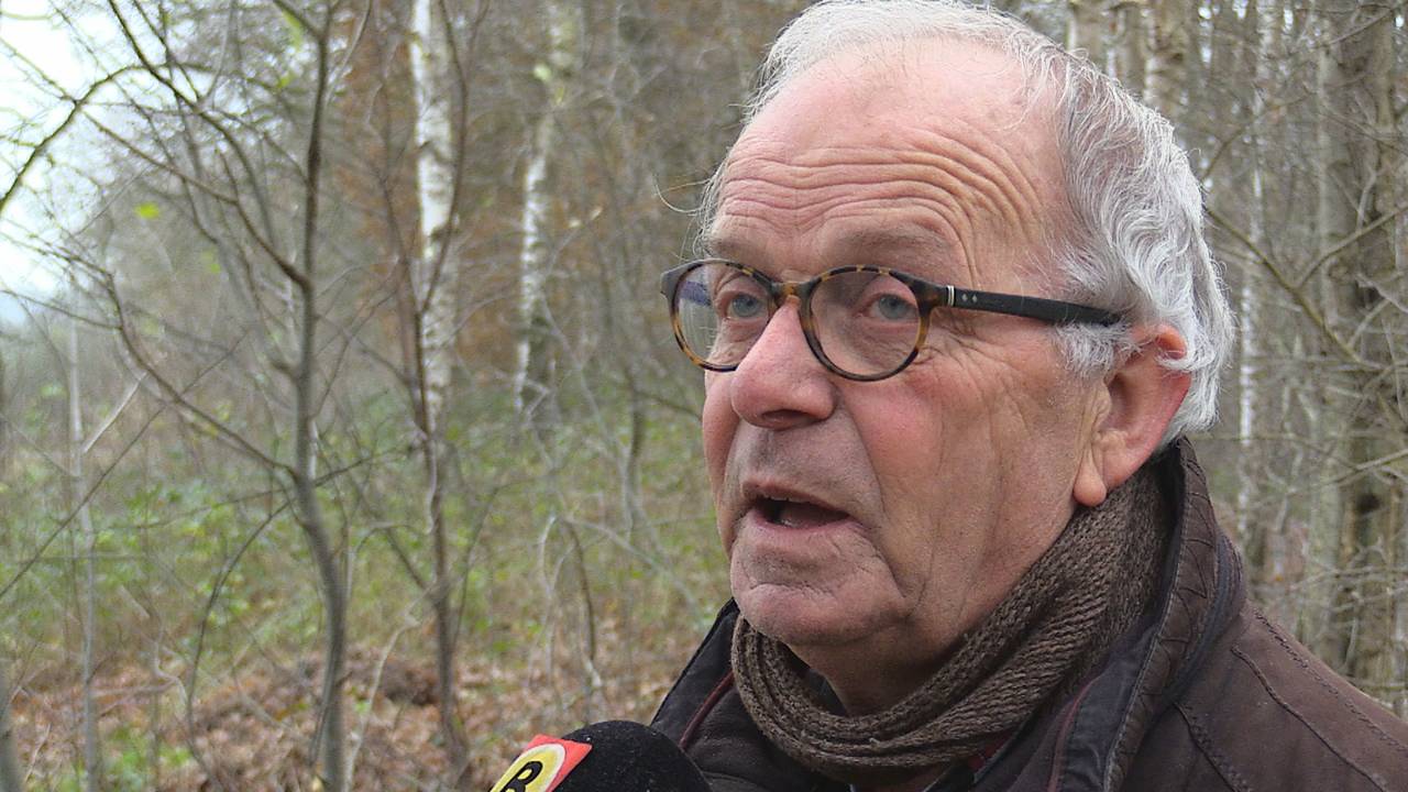 Extreem veel dassen doodgereden in de omgeving Loonse en Drunense Duinen 