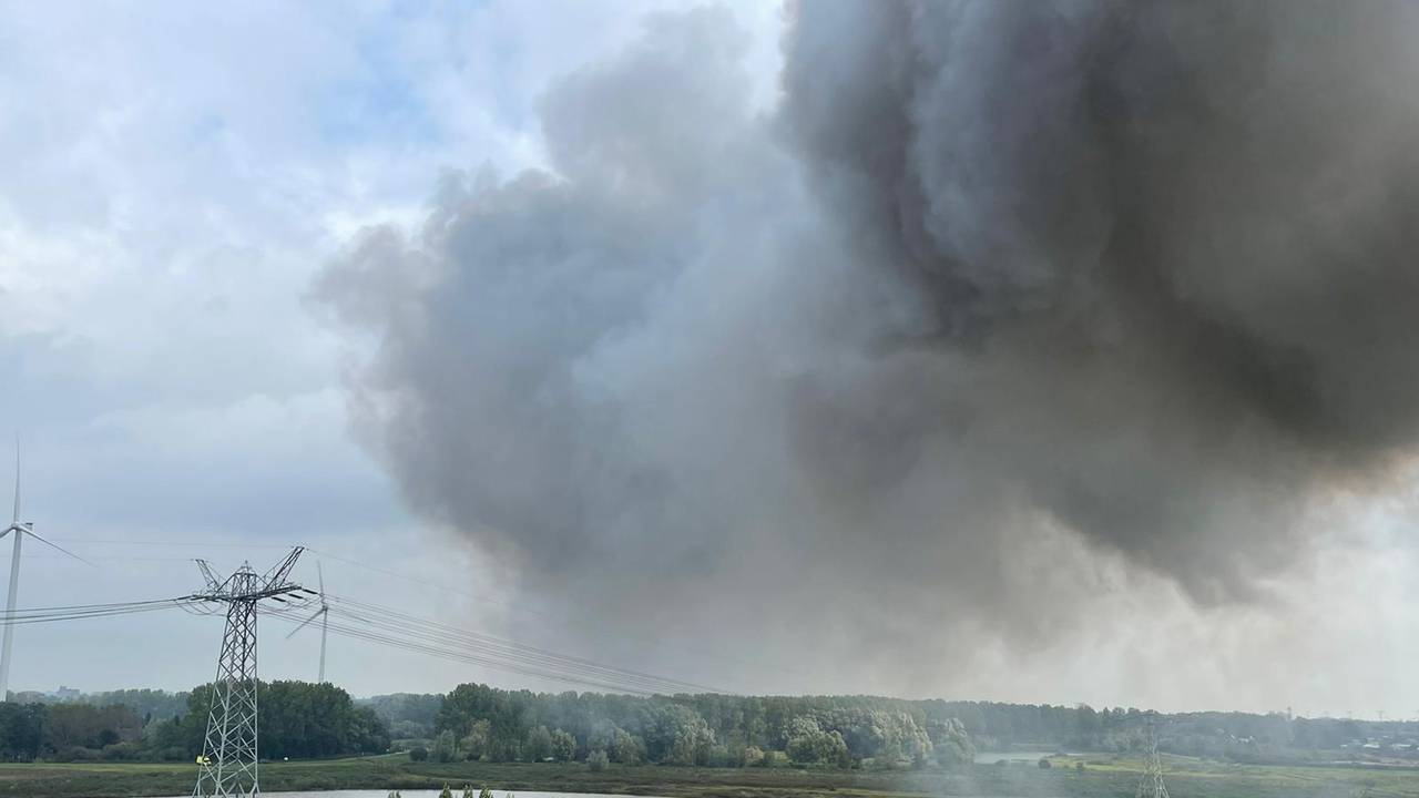 Foto: Bart Meesters/SQ Vision