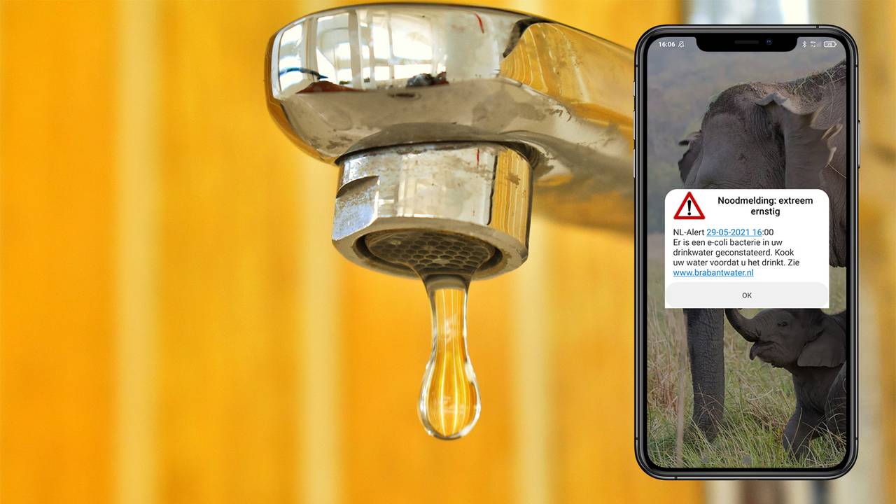 Foto: Omroep Brabant.