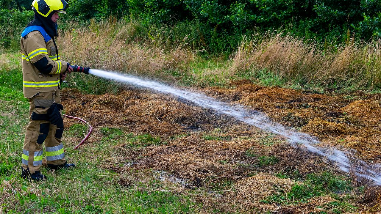 Foto: Gabor Heeres/SQ Vision