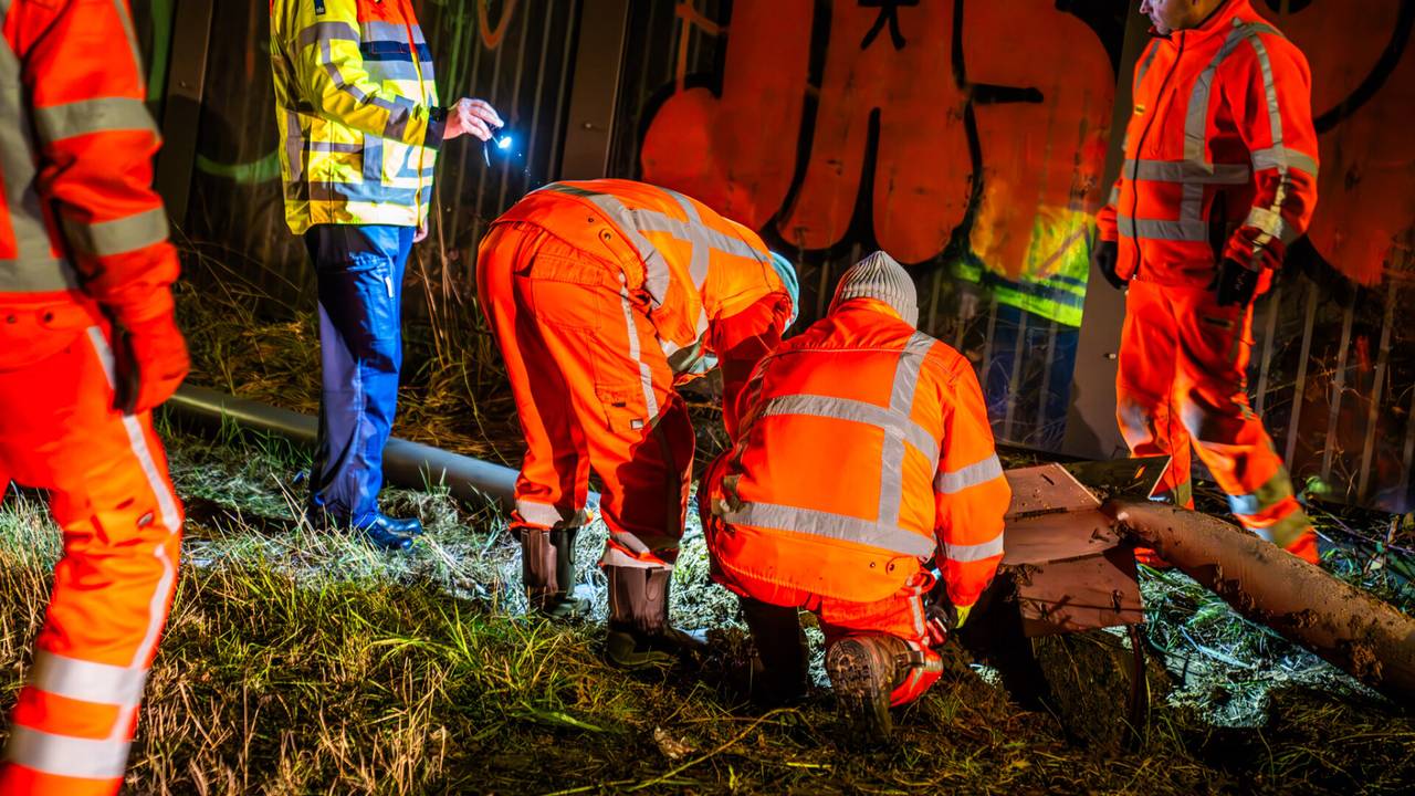 Foto Dave Hendriks / SQ Vision