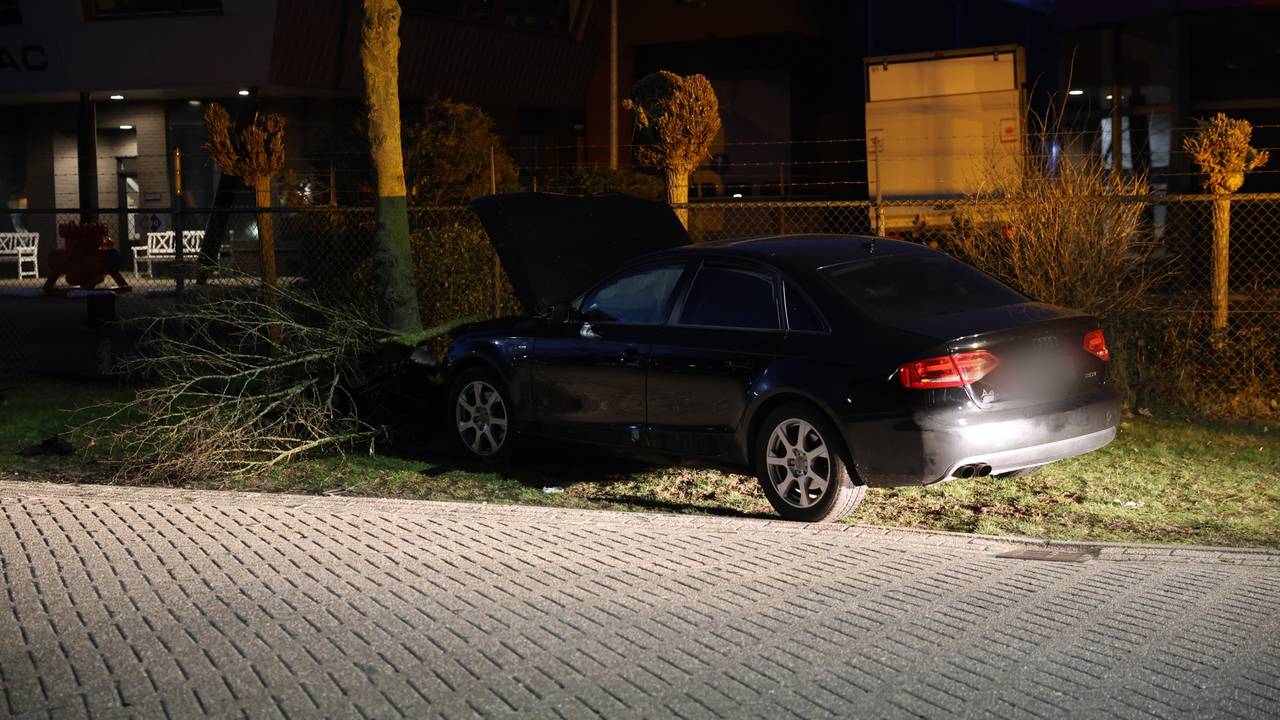 Foto: Sander van Gils / SQ Vision