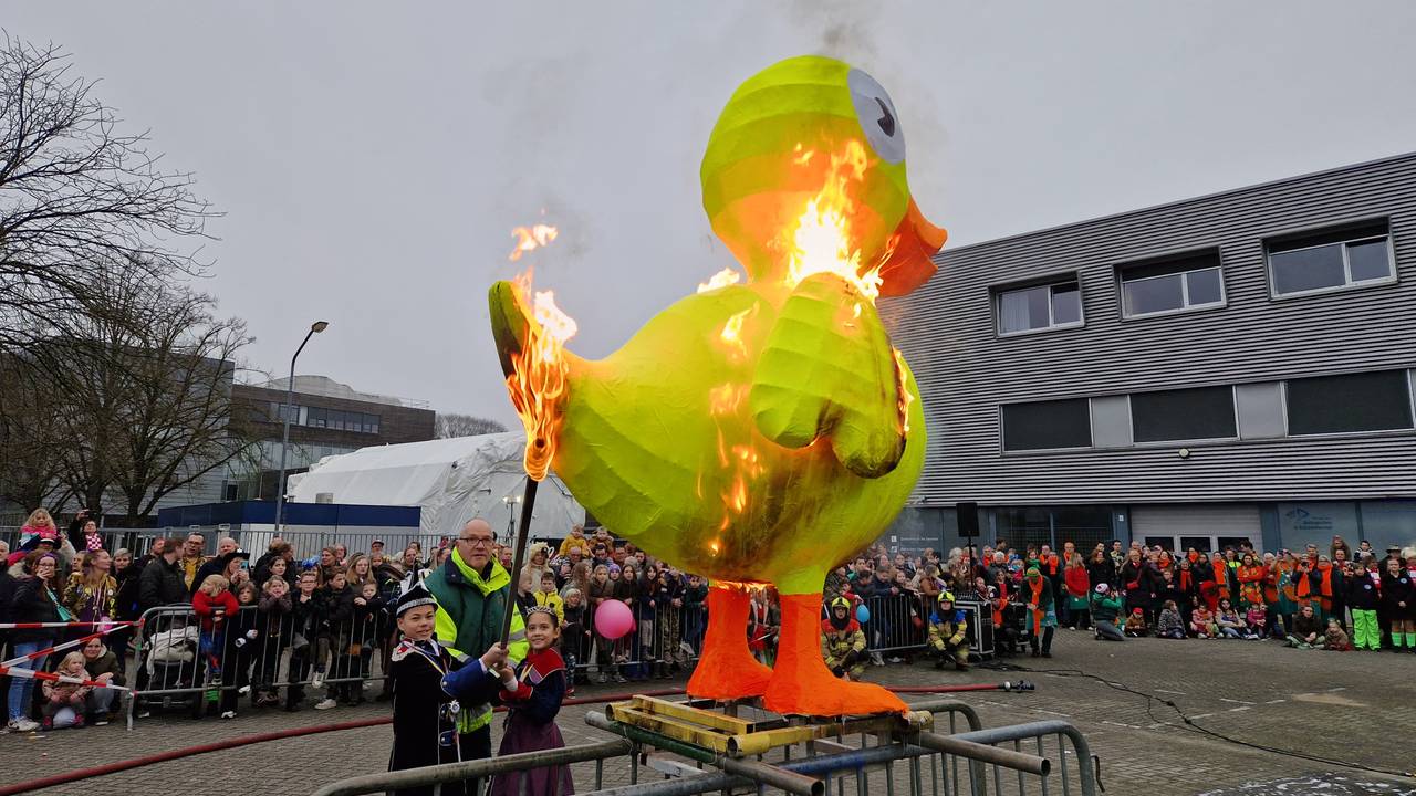 Eend Gaat Op In Het Vuur Een Moment Met Een Lach En Een Traan