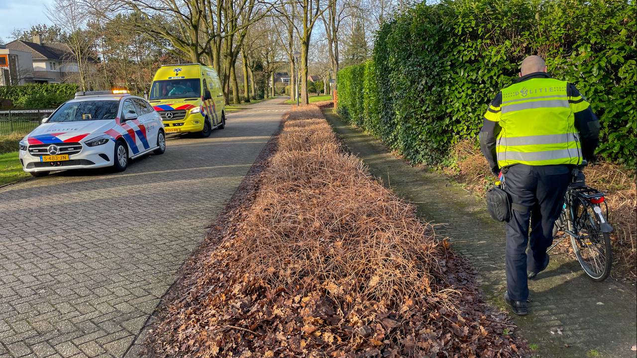 Foto: Harrie Grijseels/SQ Vision. 