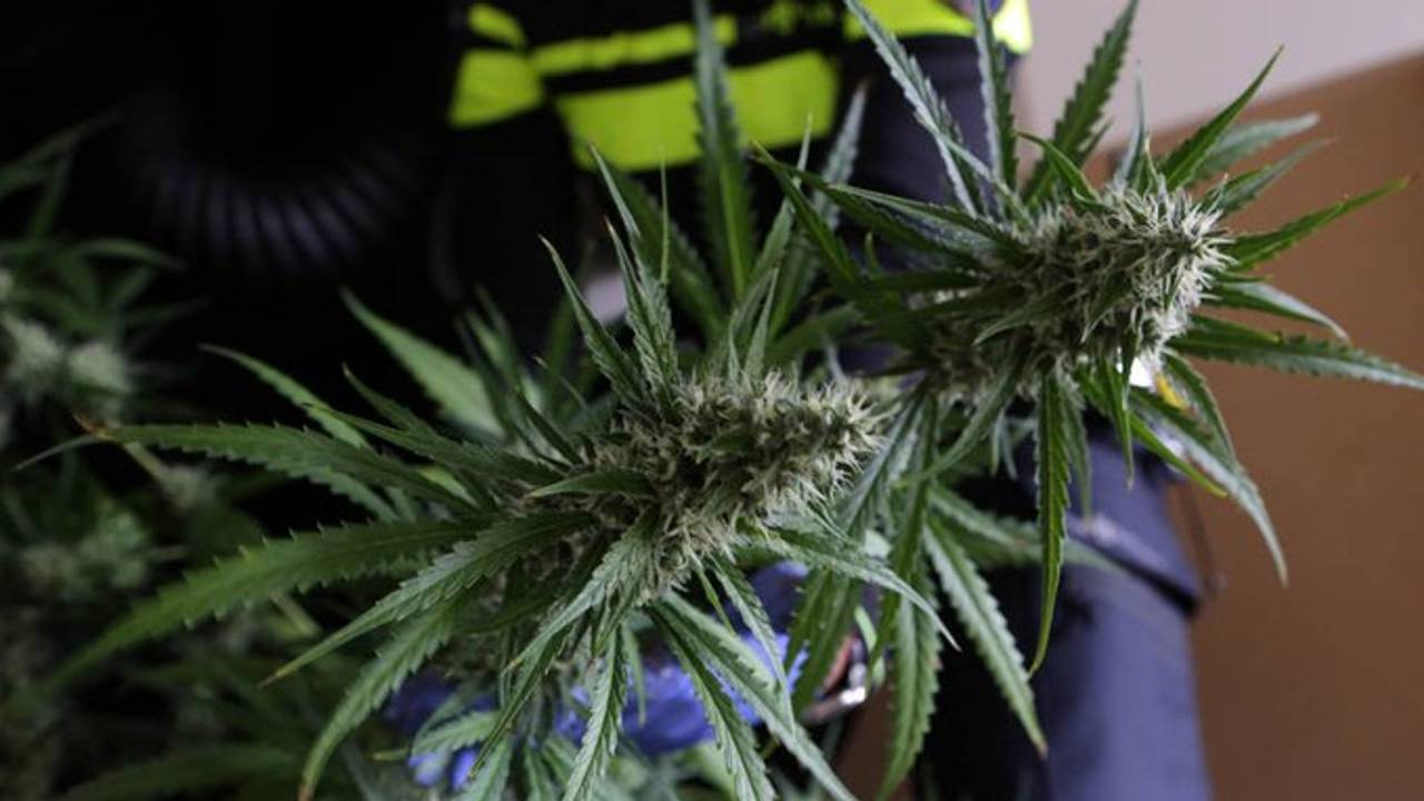 Hennep (archieffoto: politie)