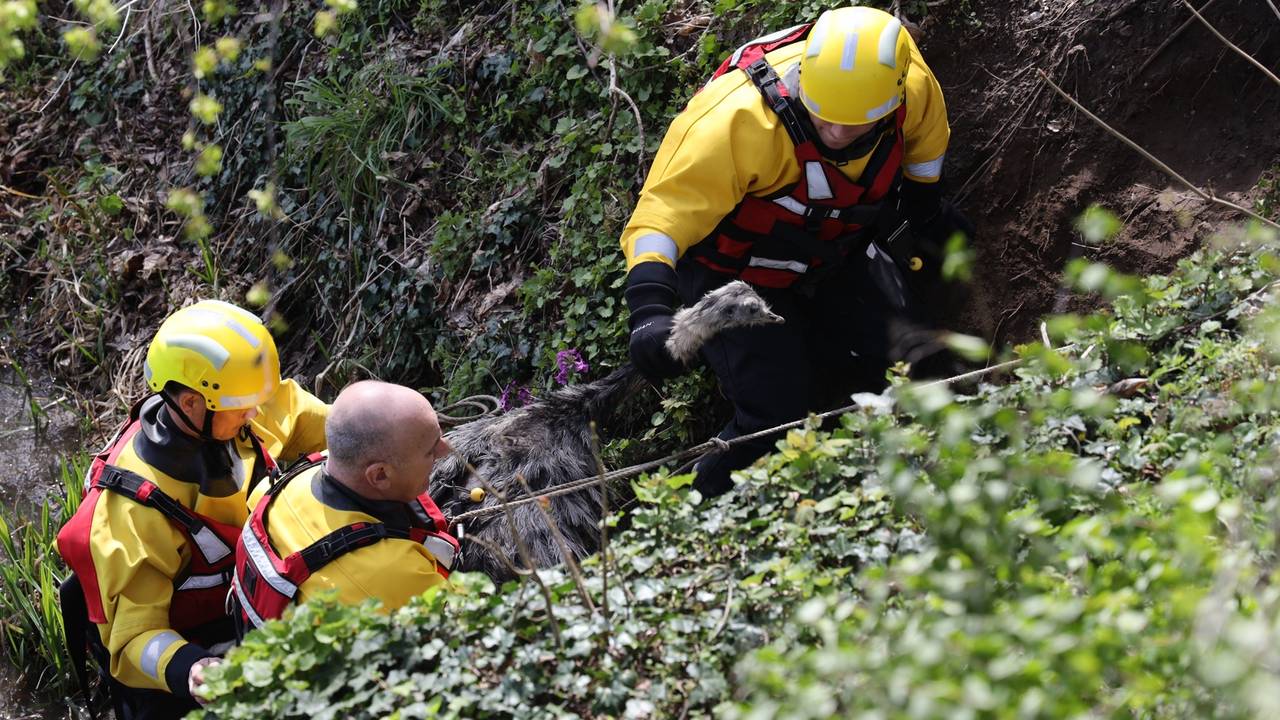 Foto: Marco van den Broek/SQ Vision