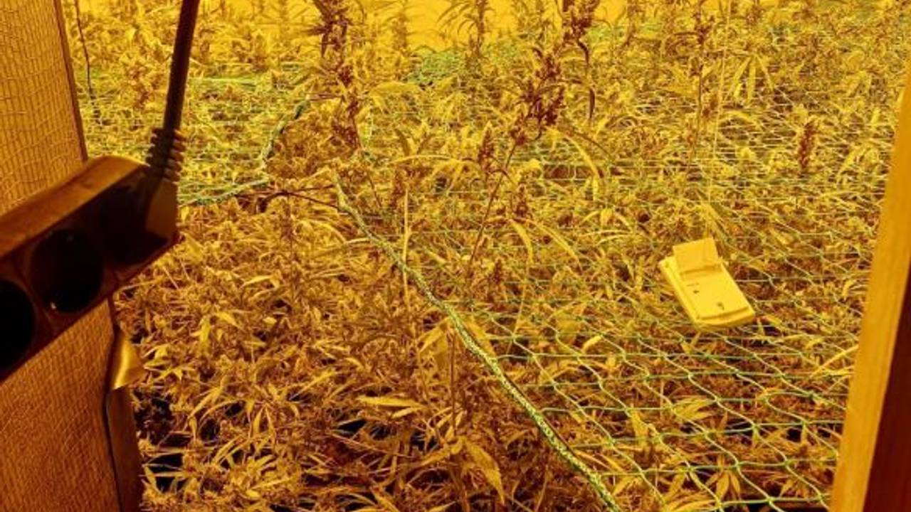 Foto: Instagram wijkagenten Den Bosch buurt Noord