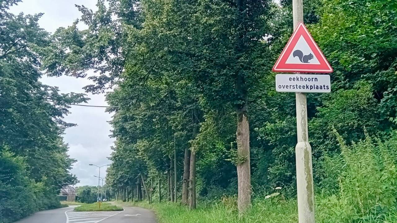 Dit waarschuwingsbord aan de Willem Dreesweg in Roosendaal is gestolen (foto: Omroep Brabant).