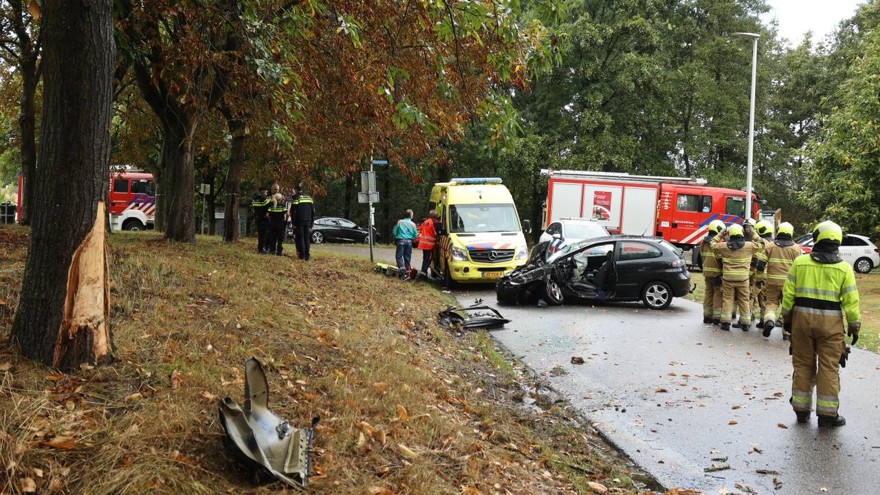 A gentleman from Breda (43) died in a collision with a tree in Vlijmen