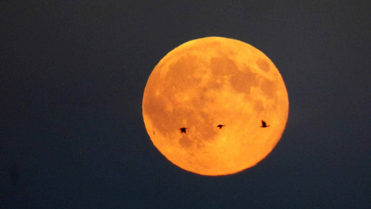 Foto: Ardy van Heesch-Van Kuijk.