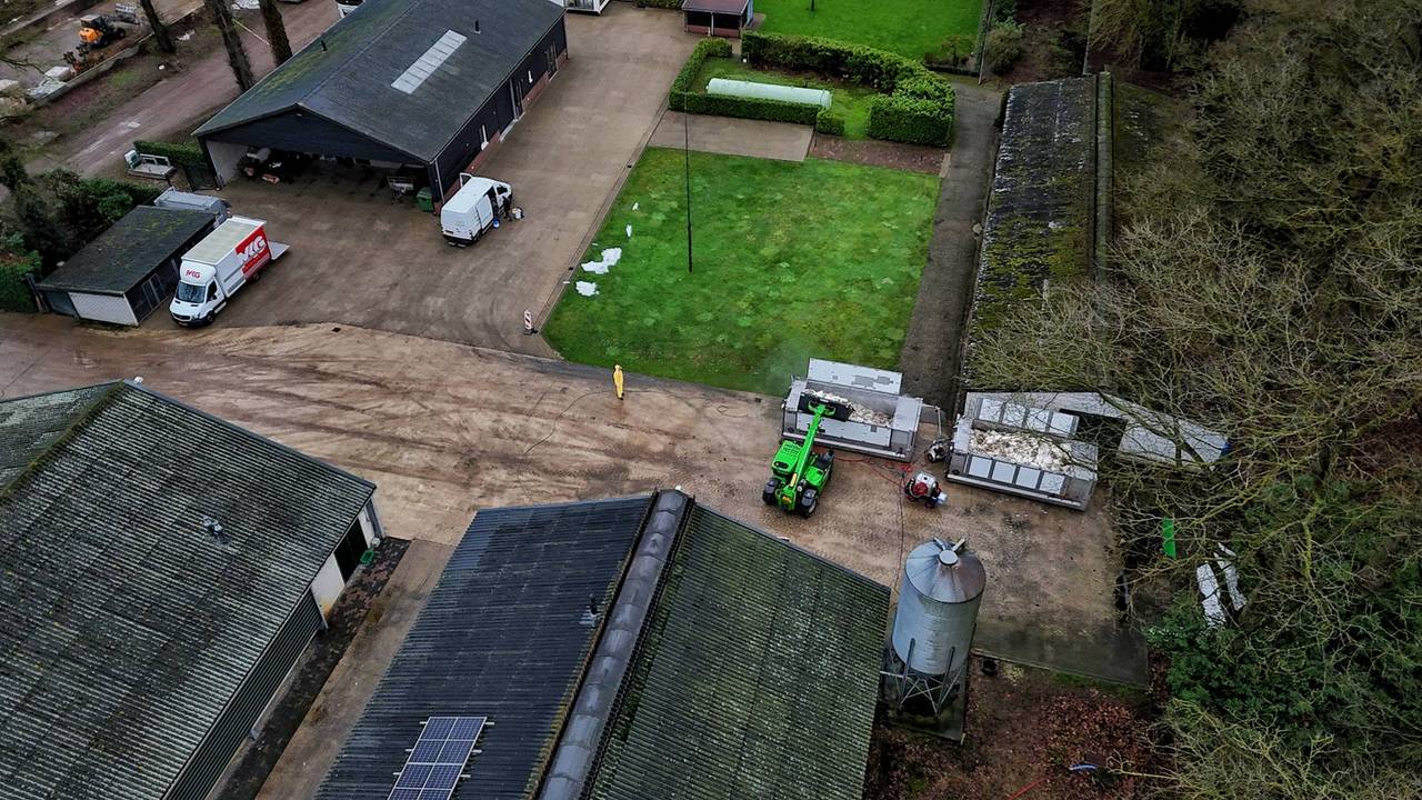 Vogelgriep bij pluimveehouder Oisterwijk (foto: Persbureau Heitink). 