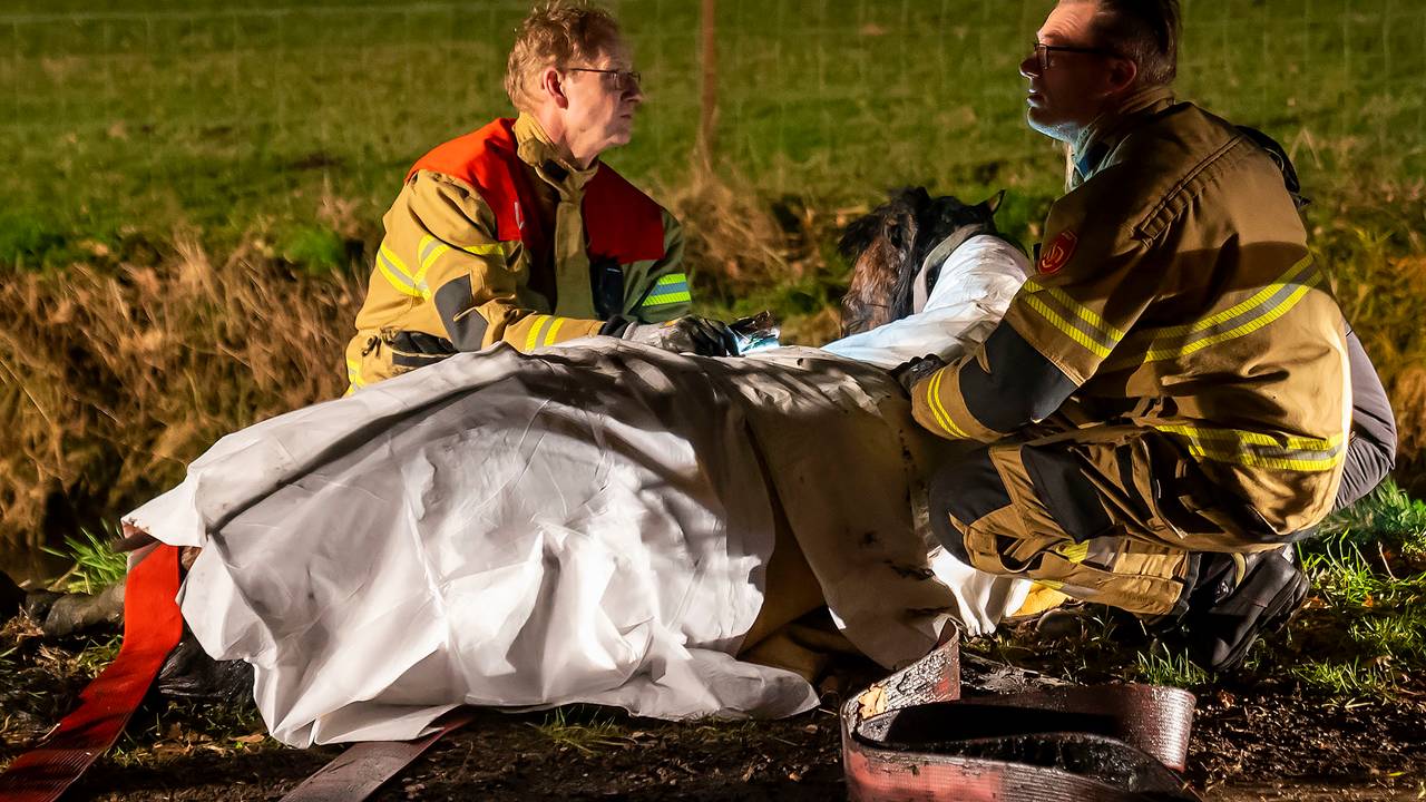 112-nieuws: paard overlijdt bij aanrijding • brand op chaletpark Milheeze.