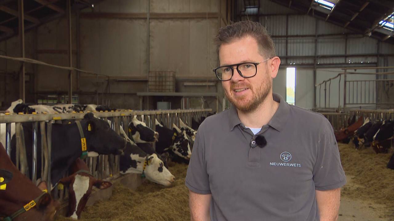 Wilco de Crom heeft kaasboerderij Nieuwerwets in Knegsel.