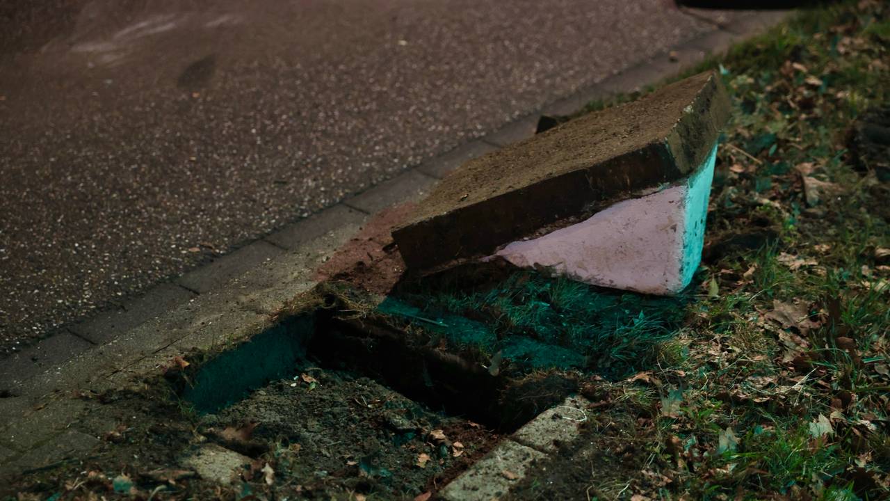 Foto: Sander van Gils/SQ Vision