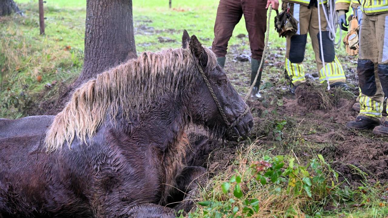 Foto: Toby de Kort/SQ Vision.