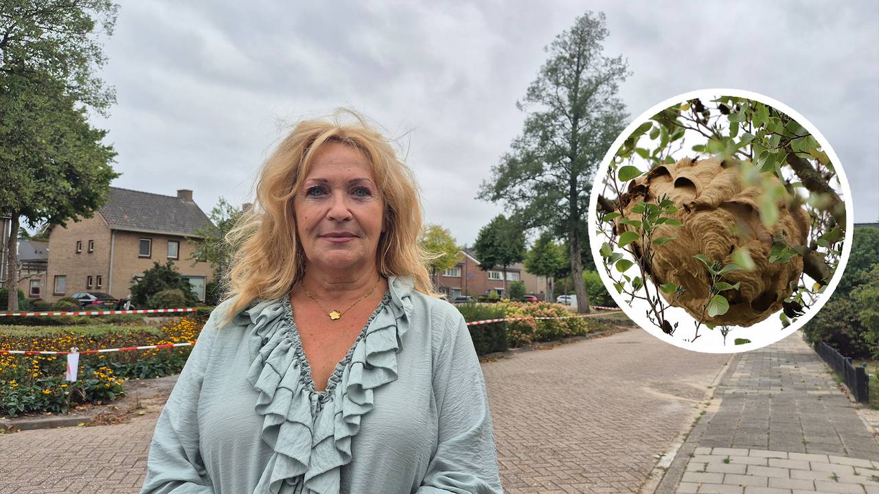 Jolanda Reuser voor de boom met daarin het nest Aziatische hoornaars (foto: Collin Beijk).
