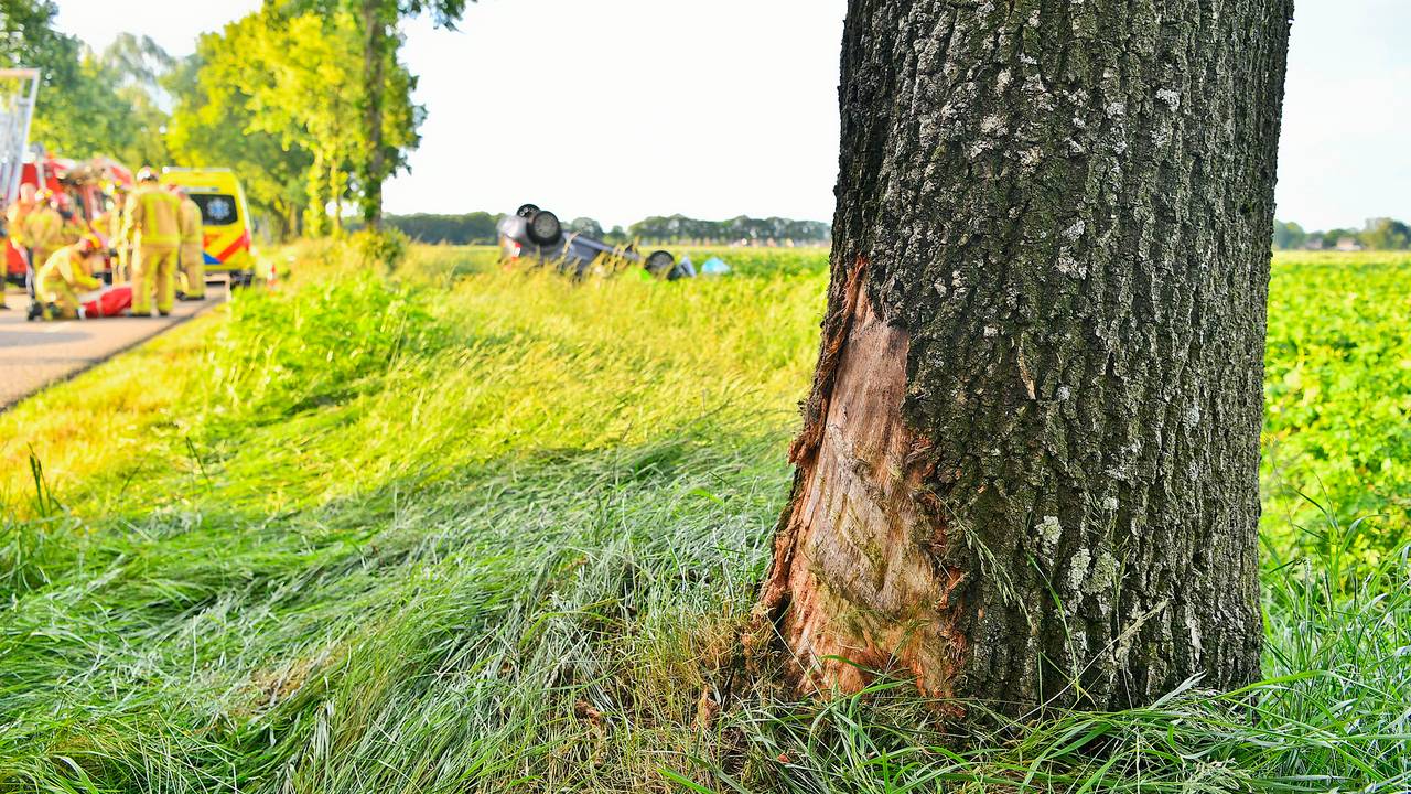 Foto: Rico Vogels / SQ Vision